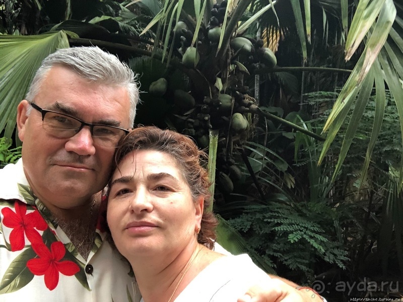 Конгени(т)ально! Кокосы резервата Vallee de Mai (ЮНЕСКО 261)