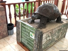 Конгени(т)ально! Кокосы резервата Vallee de Mai (ЮНЕСКО 261)