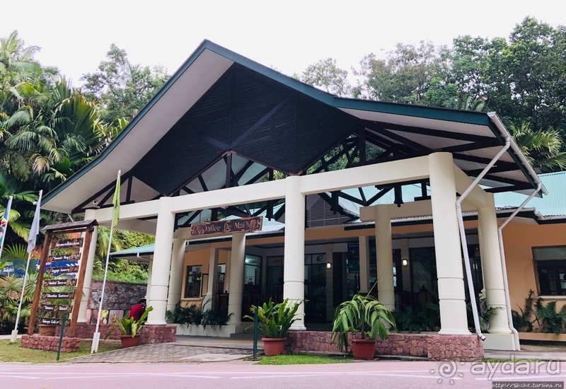 Конгени(т)ально! Кокосы резервата Vallee de Mai (ЮНЕСКО 261)