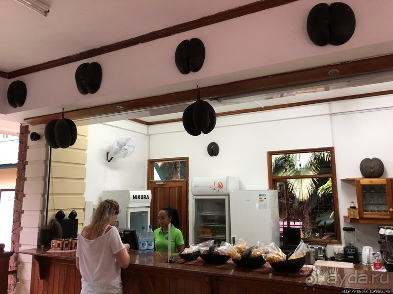 Конгени(т)ально! Кокосы резервата Vallee de Mai (ЮНЕСКО 261)