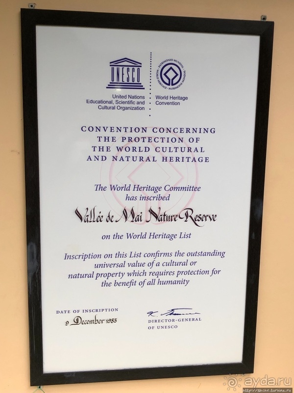 Конгени(т)ально! Кокосы резервата Vallee de Mai (ЮНЕСКО 261)