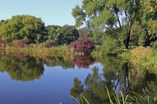 Осень в Центральном парке