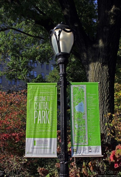 Осень в Центральном парке