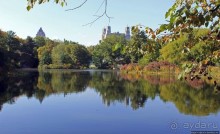 Осень в Центральном парке