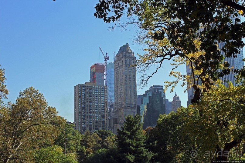 Осень в Центральном парке