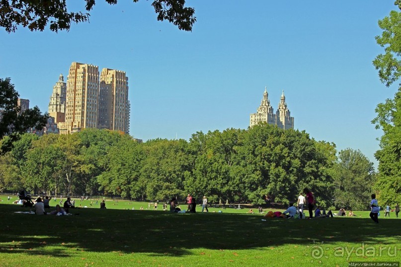 Осень в Центральном парке