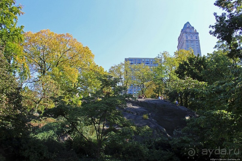 Осень в Центральном парке