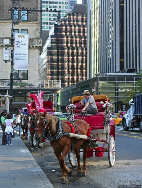Осень в Центральном парке
