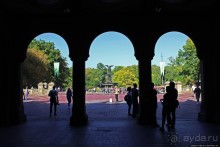 Осень в Центральном парке