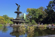 Осень в Центральном парке