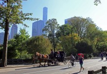 Осень в Центральном парке