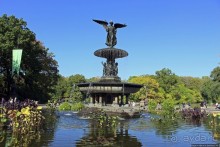 Осень в Центральном парке