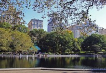 Осень в Центральном парке