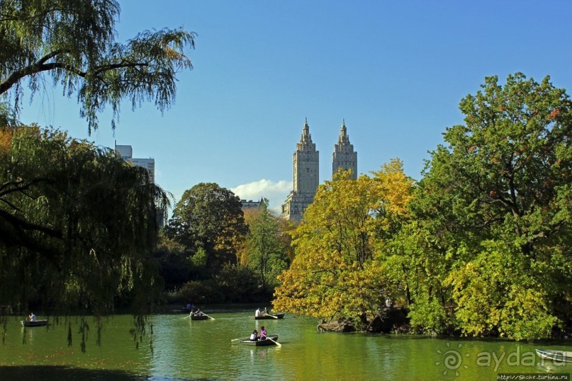 Осень в Центральном парке