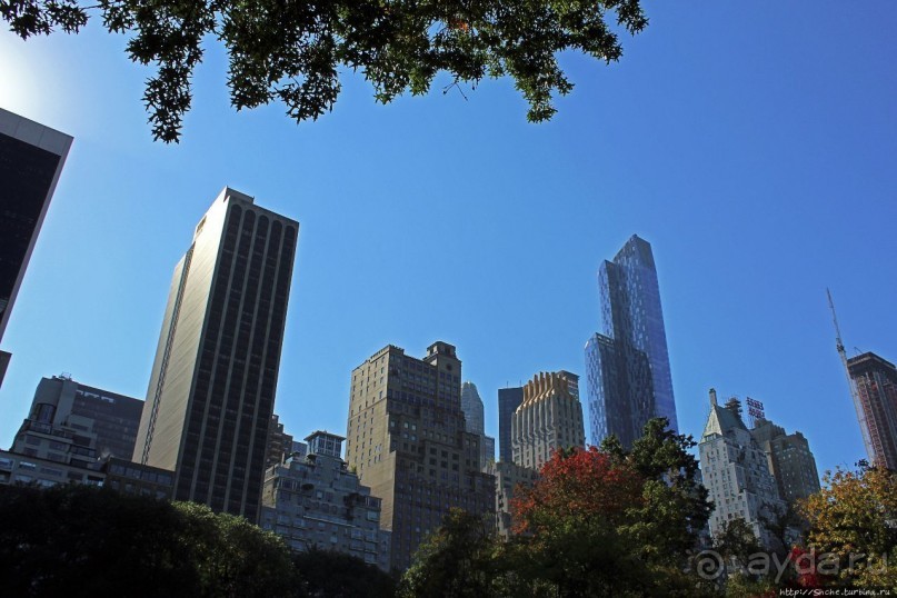 Осень в Центральном парке