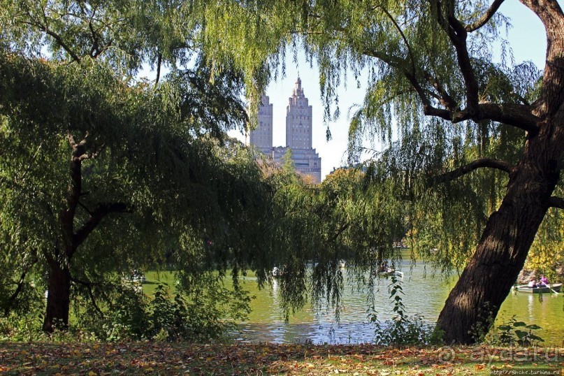 Осень в Центральном парке