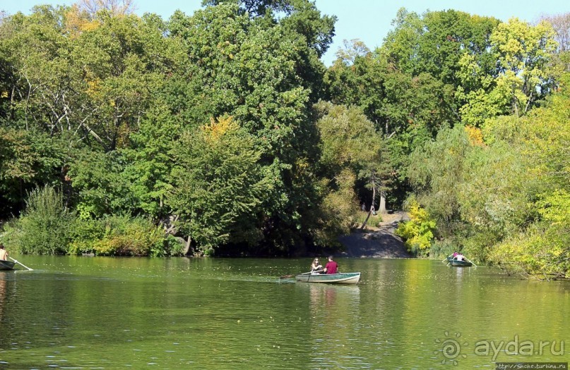 Осень в Центральном парке