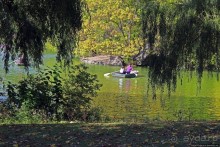 Осень в Центральном парке