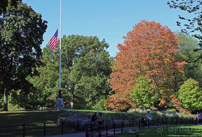 Осень в Центральном парке