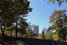 Осень в Центральном парке