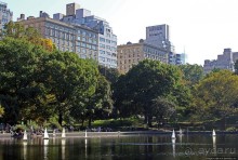 Осень в Центральном парке