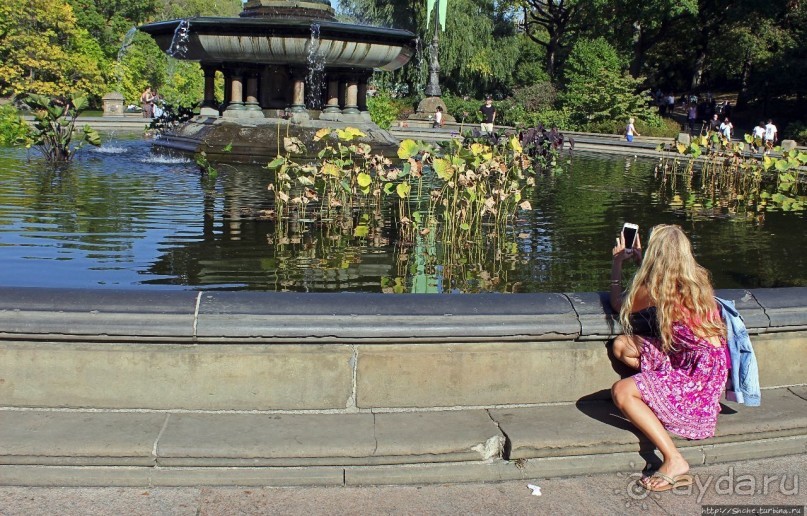 Осень в Центральном парке