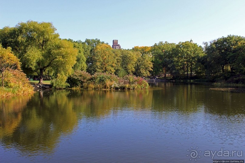 Осень в Центральном парке