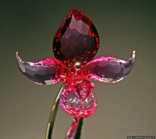 Альбом отзыва "Лучшие друзья девушек это ... кристаллы Сваровски"