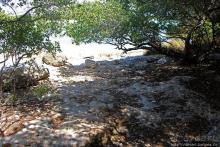 Бухта на мысе Кабо Рохо, или "лес", более напоминающий пляж