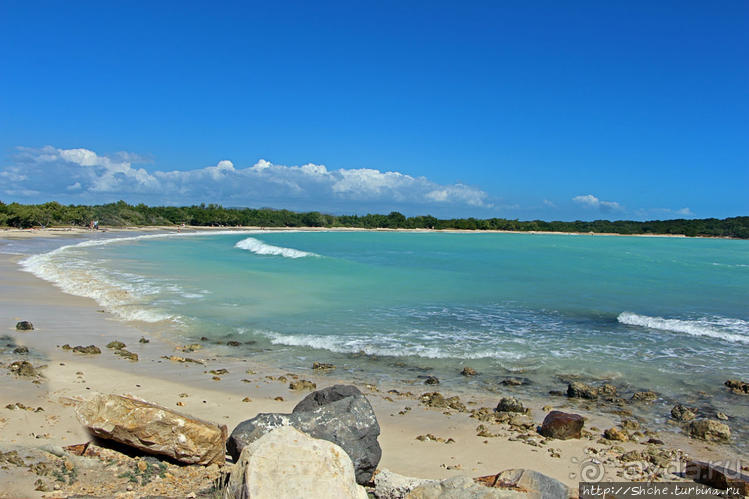Бухта на мысе Кабо Рохо, или "лес", более напоминающий пляж