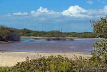 Бухта на мысе Кабо Рохо, или "лес", более напоминающий пляж