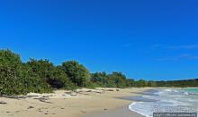 Бухта на мысе Кабо Рохо, или "лес", более напоминающий пляж