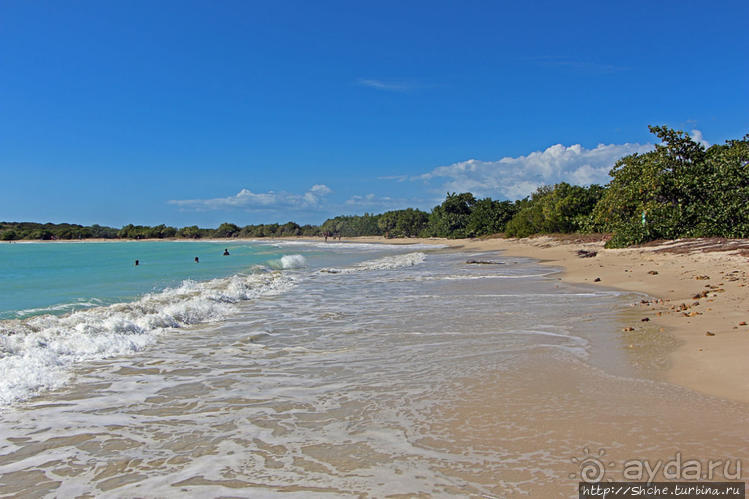 Бухта на мысе Кабо Рохо, или "лес", более напоминающий пляж