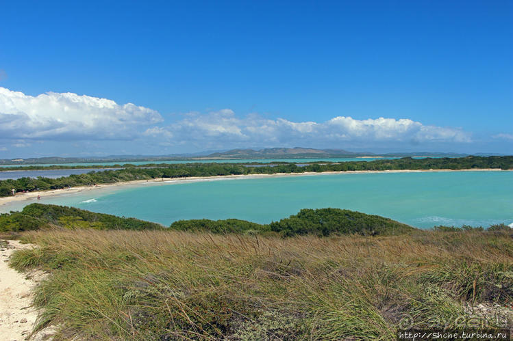 Бухта на мысе Кабо Рохо, или "лес", более напоминающий пляж