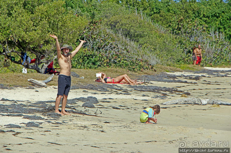 Бухта на мысе Кабо Рохо, или "лес", более напоминающий пляж