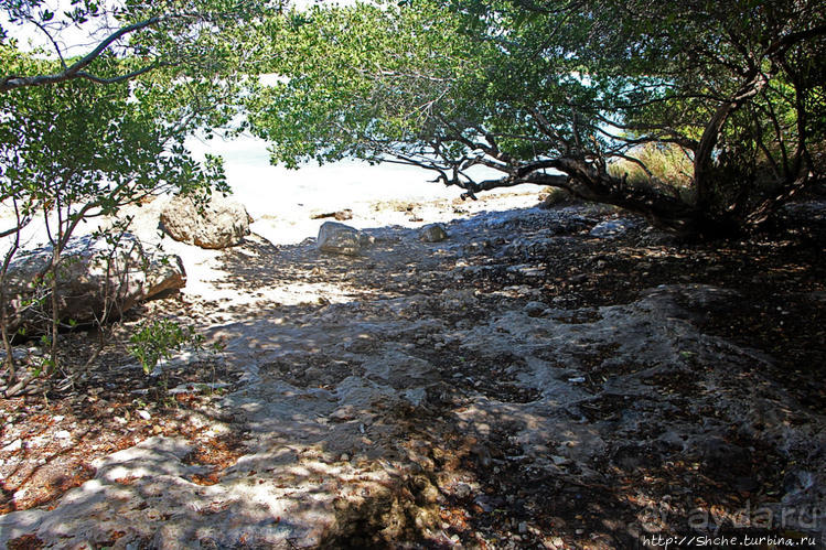 фото Кабо Рохо