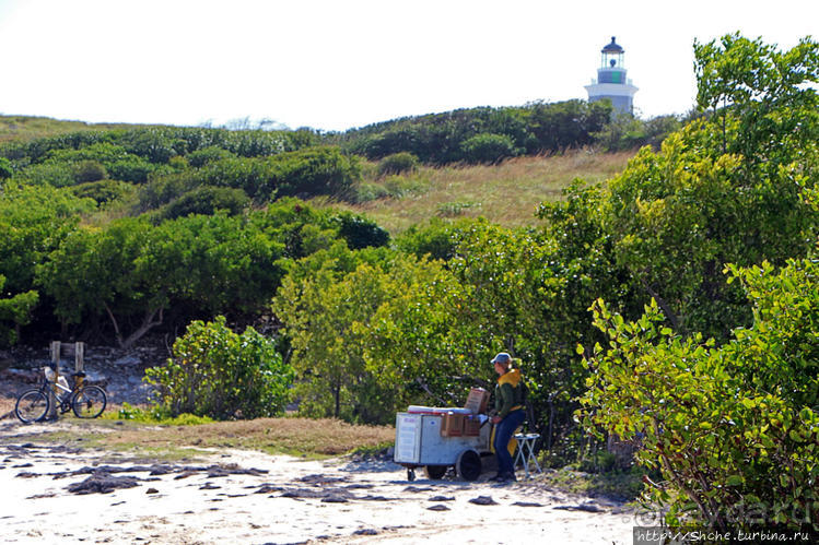 Бухта на мысе Кабо Рохо, или "лес", более напоминающий пляж Бухта на мысе Кабо Рохо, или "лес", более напоминающий пляж