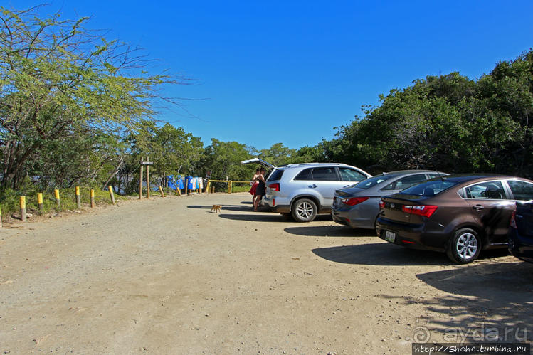 Бухта на мысе Кабо Рохо, или "лес", более напоминающий пляж Бухта на мысе Кабо Рохо, или "лес", более напоминающий пляж