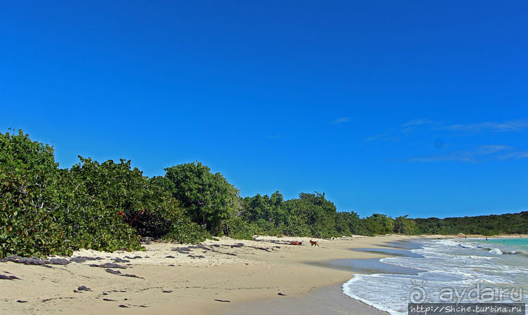 фото Кабо Рохо