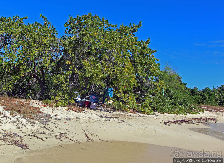 Бухта на мысе Кабо Рохо, или "лес", более напоминающий пляж Бухта на мысе Кабо Рохо, или "лес", более напоминающий пляж