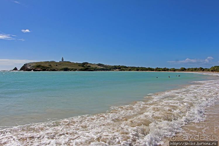 Бухта на мысе Кабо Рохо, или "лес", более напоминающий пляж Бухта на мысе Кабо Рохо, или "лес", более напоминающий пляж