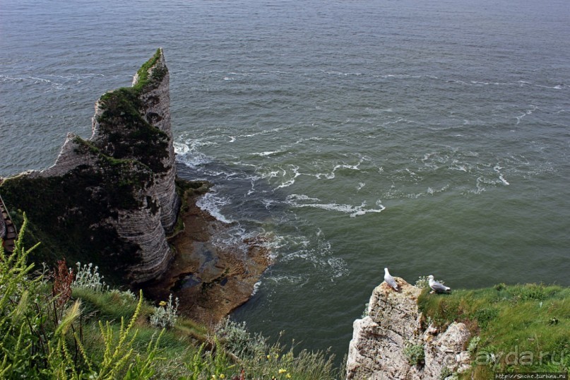 Утесы Этреты: направо пойдешь...