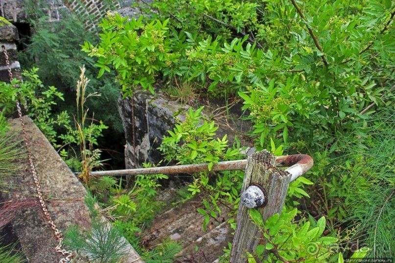 Весь покрытый зеленью... Форт Альберт на Бермудах есть