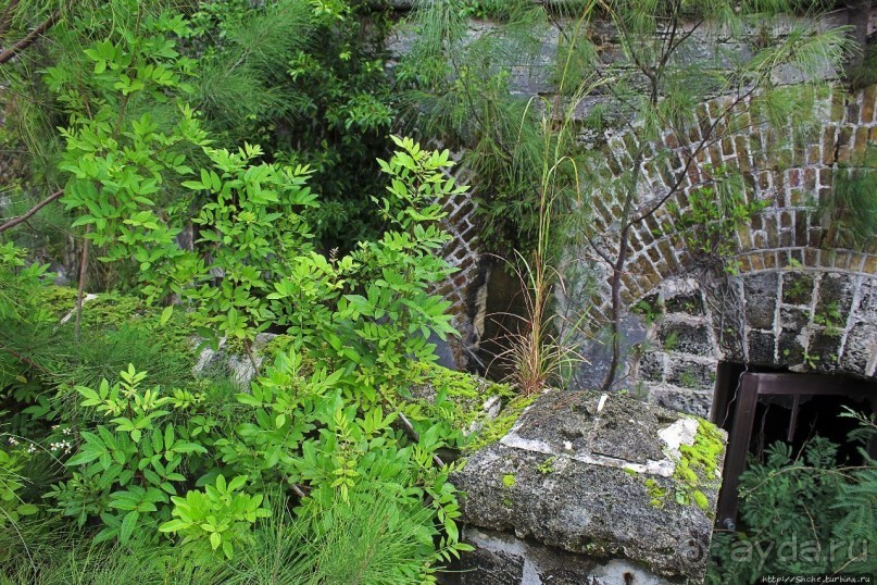 Весь покрытый зеленью... Форт Альберт на Бермудах есть