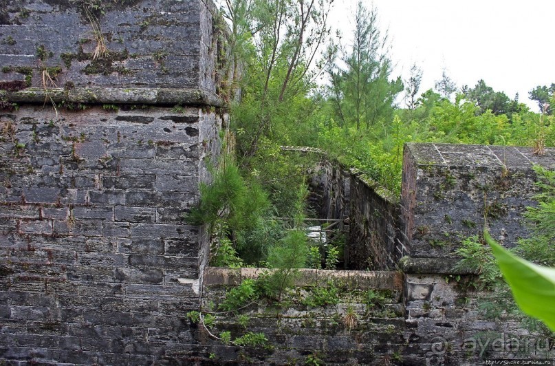 Весь покрытый зеленью... Форт Альберт на Бермудах есть