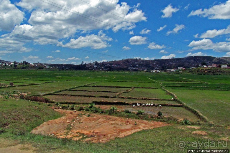 Мадагаскарские картинки. Пригород столицы - Антананариву