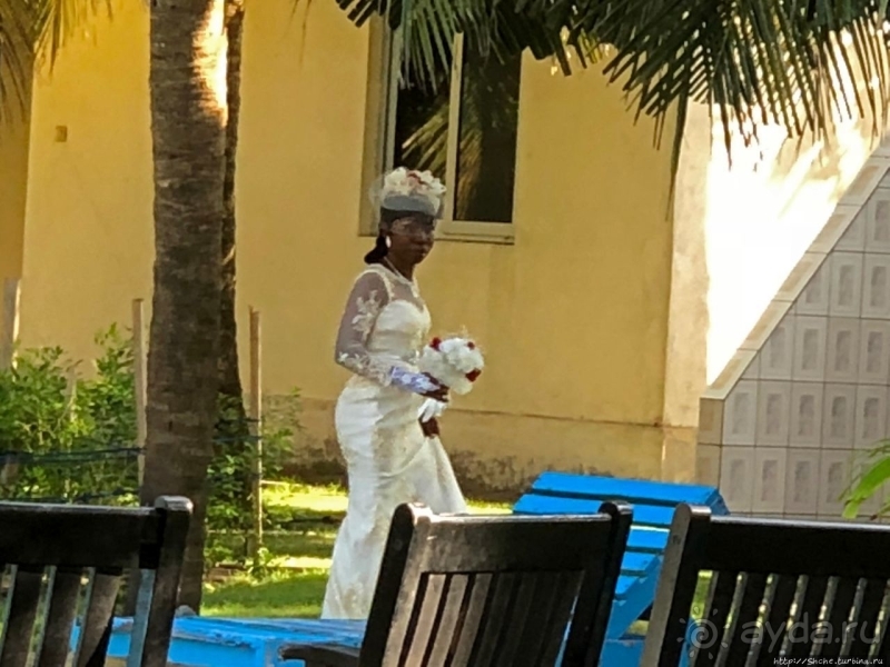 Люблю рассматривать чужих невест. На курорте в Того