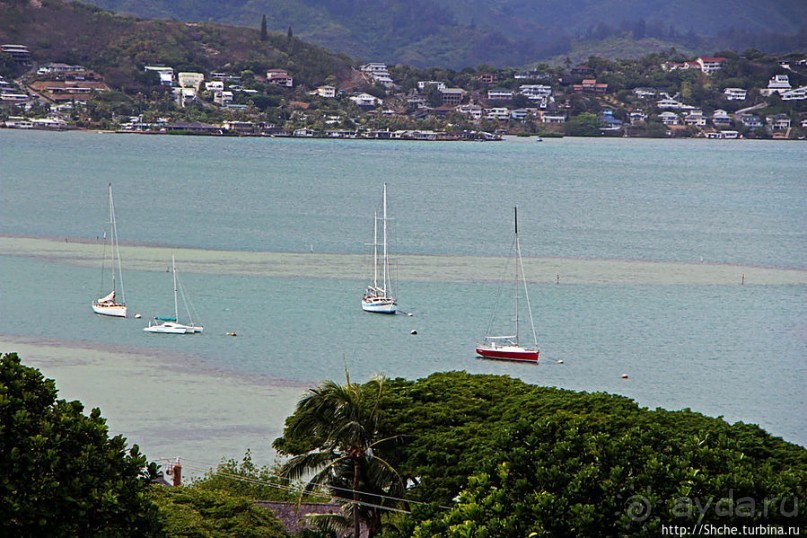 Панорама залива и города Канеохе на востоке острова Оаху
