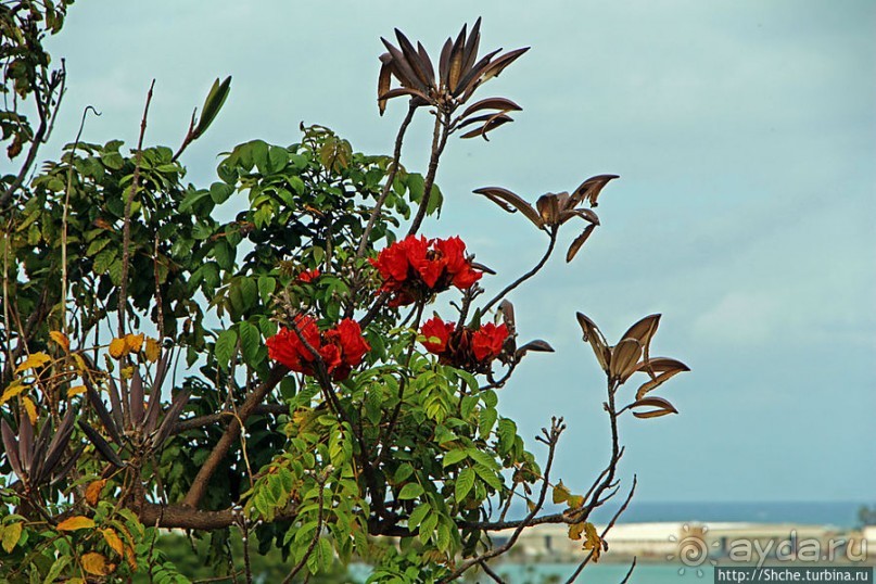 Панорама залива и города Канеохе на востоке острова Оаху