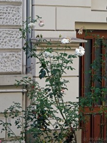 Висбаден — город для жизни